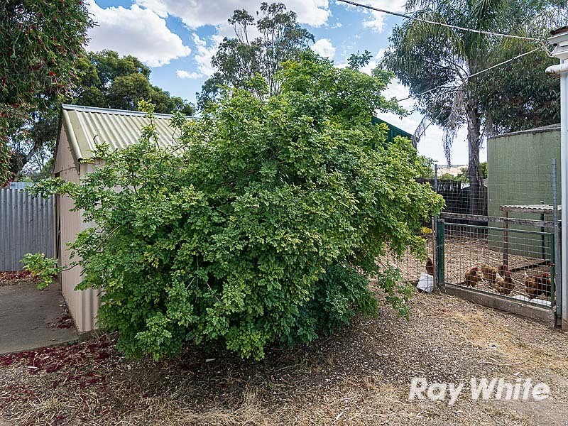 41 Hallett Street, Callington SA 5254