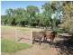 126 Rowley Road, Meadows SA 5201