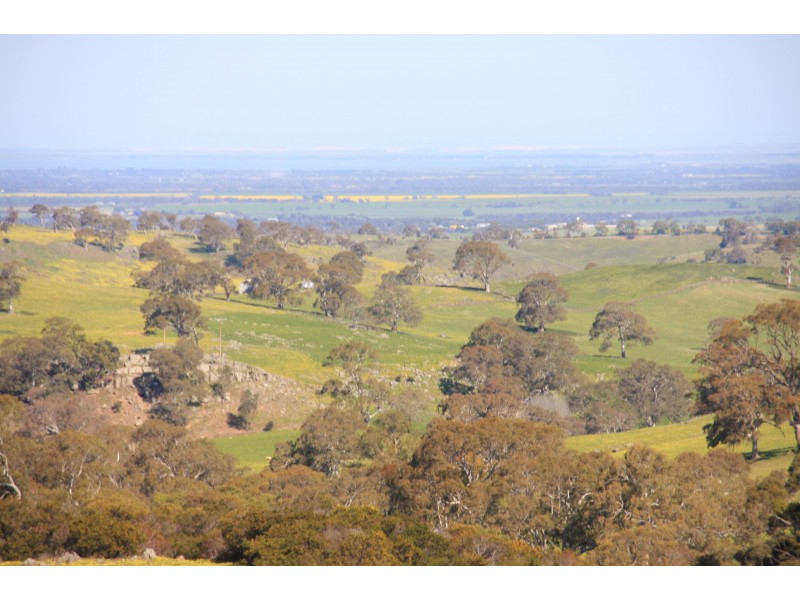 Lot 2 Nyoka Road, Macclesfield SA 5153