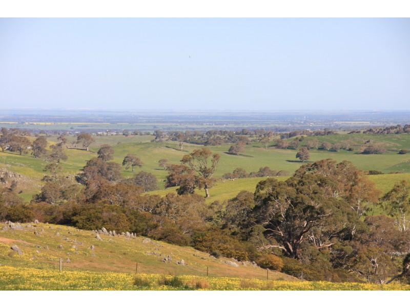 Lot 2 Nyoka Road, Macclesfield SA 5153