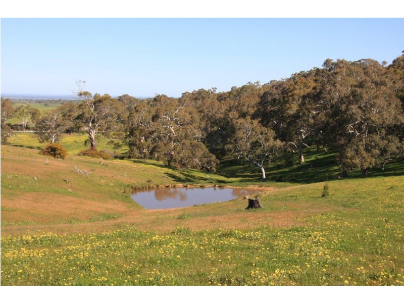 Lot 2 Nyoka Road, Macclesfield SA 5153
