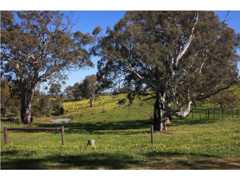 Lot 2 Nyoka Road, Macclesfield SA 5153
