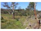 Lot 2 Nyoka Road, Macclesfield SA 5153