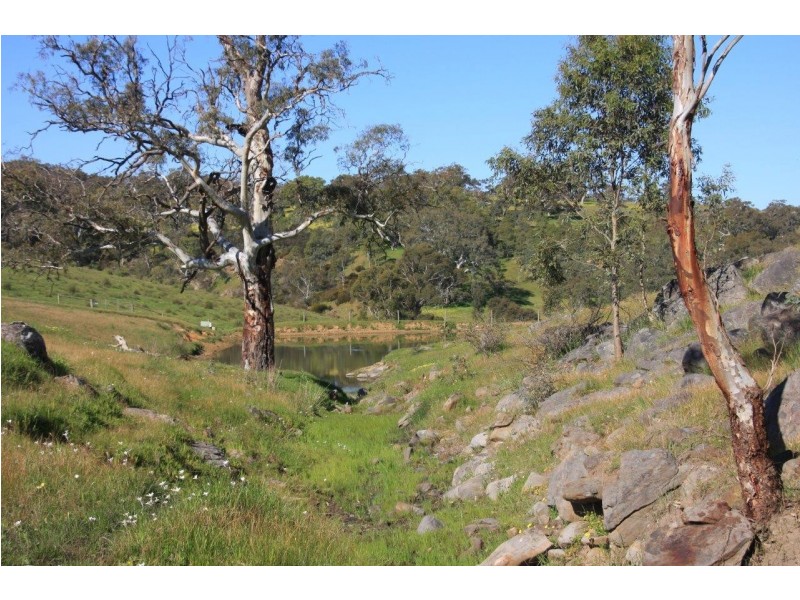Lot 2 Nyoka Road, Macclesfield SA 5153