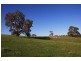Lot 2 Nyoka Road, Macclesfield SA 5153