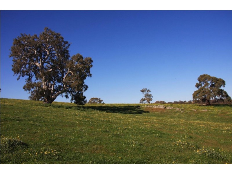 Lot 2 Nyoka Road, Macclesfield SA 5153