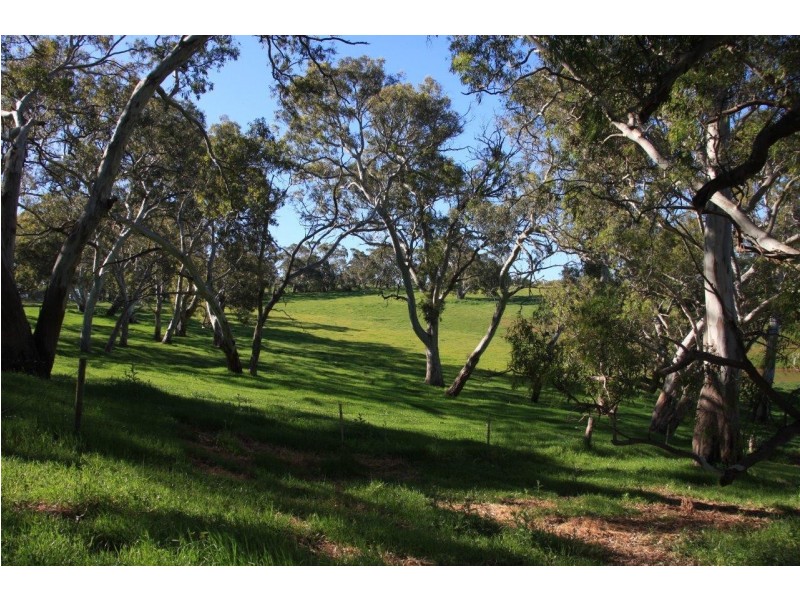 Lot 2 Nyoka Road, Macclesfield SA 5153