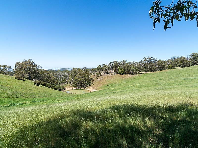 385 Paechtown Road, Hahndorf SA 5245