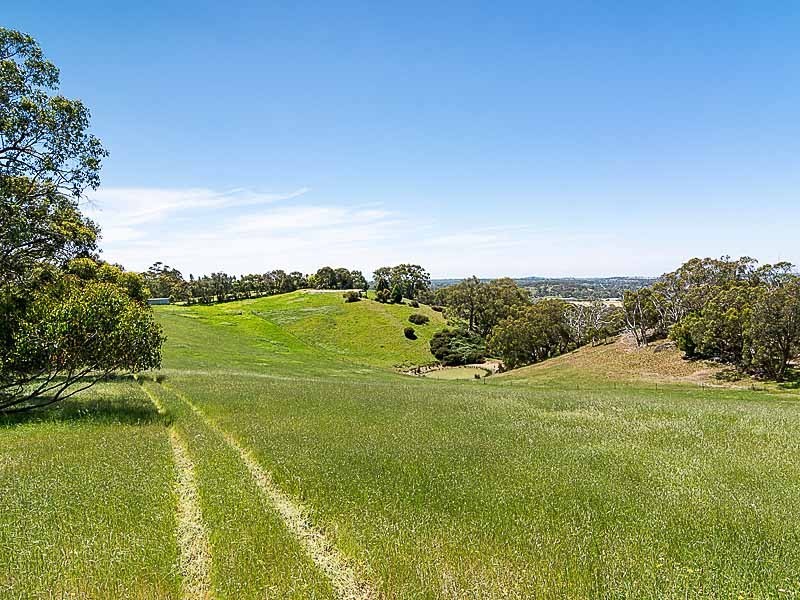 385 Paechtown Road, Hahndorf SA 5245