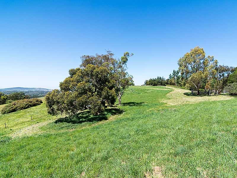 385 Paechtown Road, Mount Barker SA 5251