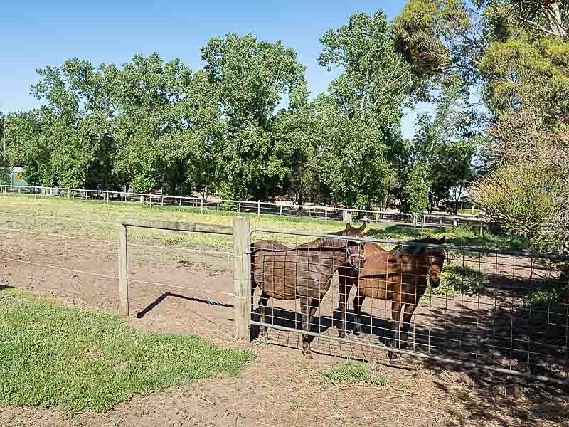 126 Rowley Road, Meadows SA 5201