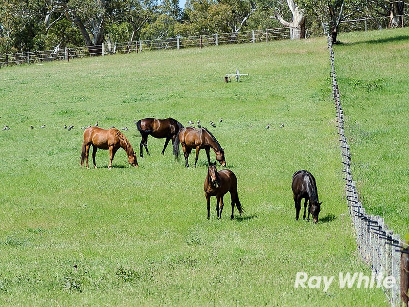 49 Beasley Road, Oakbank SA 5243