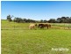 3 West Terrace, Callington SA 5254