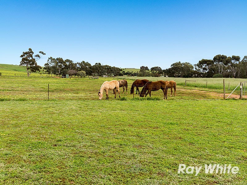 3 West Terrace, Callington SA 5254