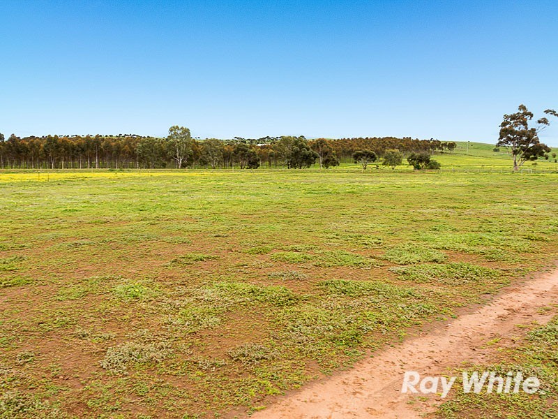 3 West Terrace, Callington SA 5254