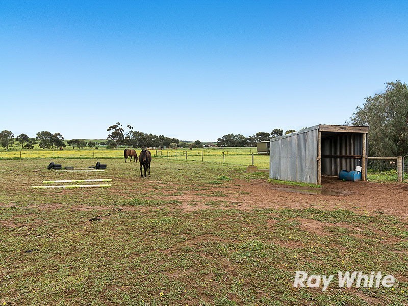 3 West Terrace, Callington SA 5254
