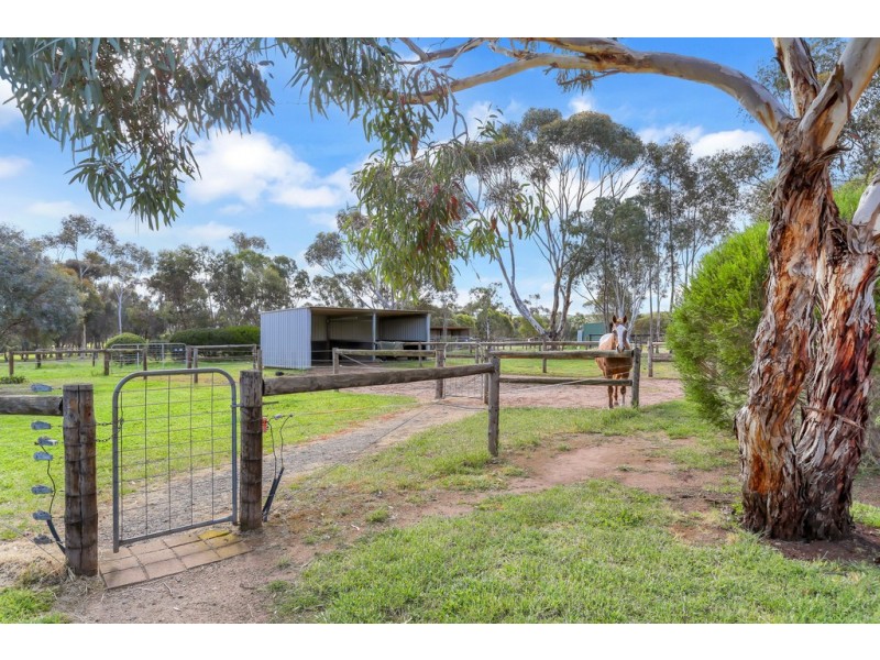 20 Stirling Court, Strathalbyn SA 5255