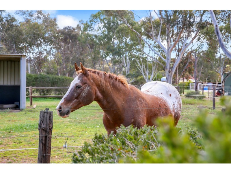 20 Stirling Court, Strathalbyn SA 5255