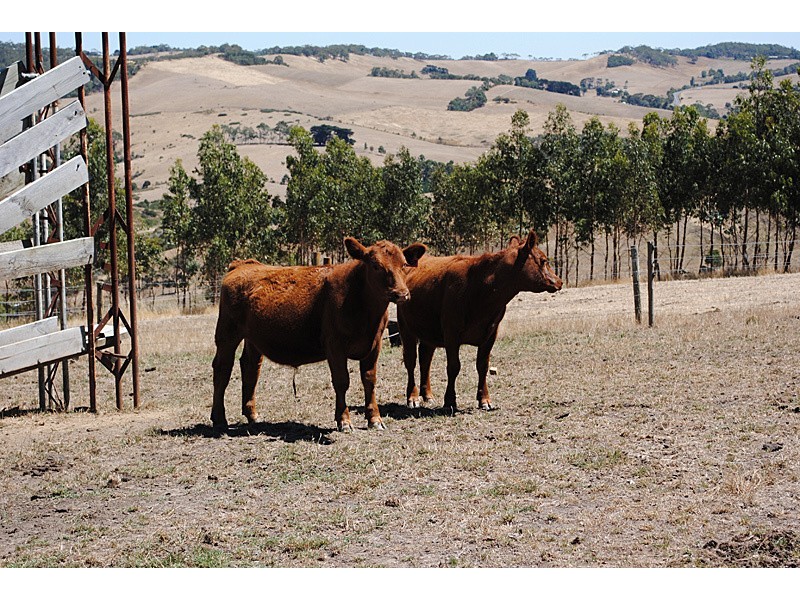 93 Phillips Hill Road, Paris Creek SA 5201