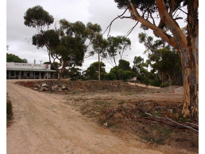 1 Montefiore Street, Callington SA 5254