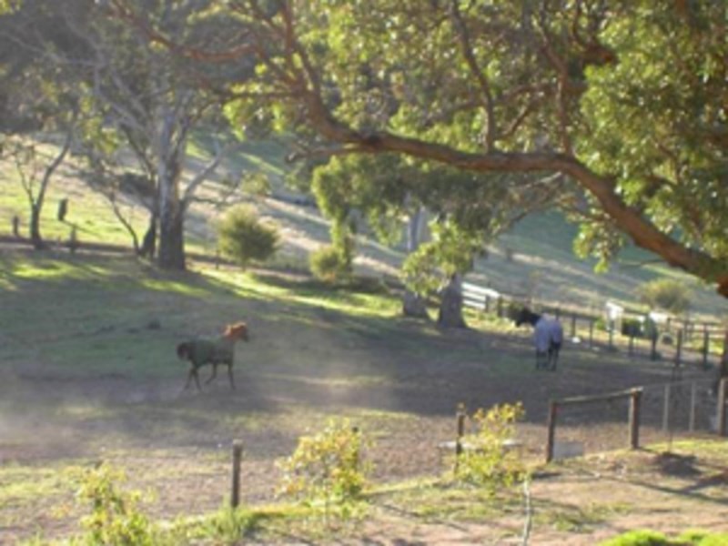 18 Cosgrove Rd, Macclesfield SA 5153