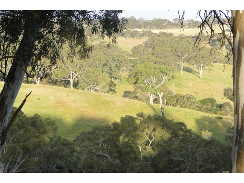 18 Cosgrove Rd, Macclesfield SA 5153