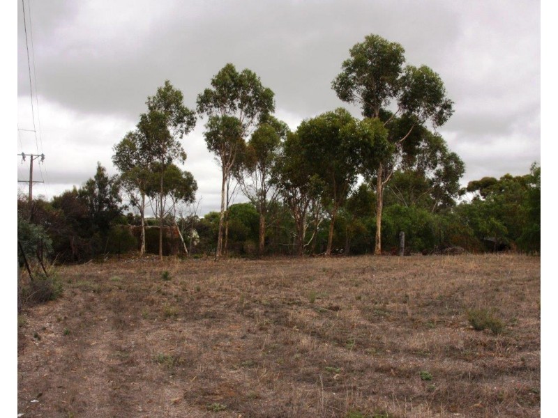 Allotments Montefiore Street, Callington SA 5254