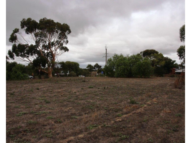 Allotments Montefiore Street, Callington SA 5254