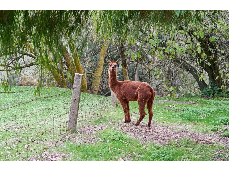 138 Old Mount Barker Road, Echunga SA 5153