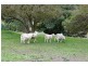 138 Old Mount Barker Road, Echunga SA 5153