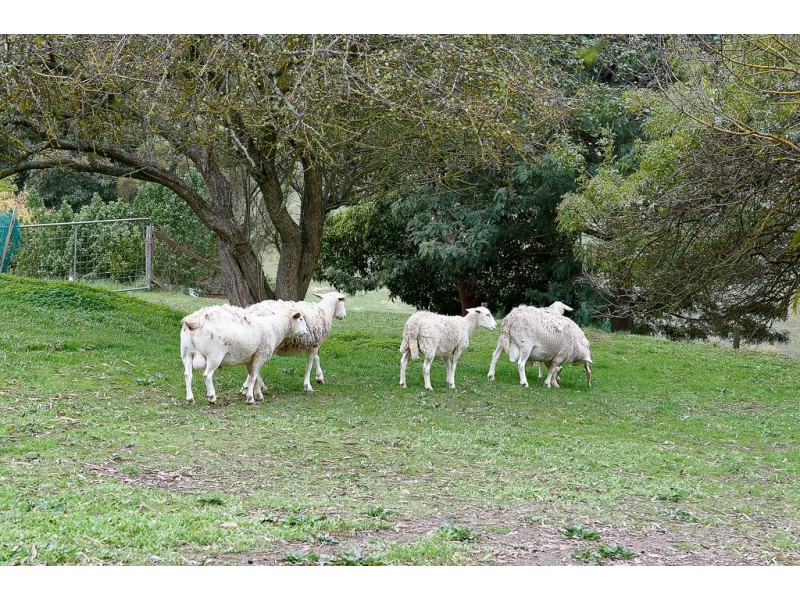 138 Old Mount Barker Road, Echunga SA 5153