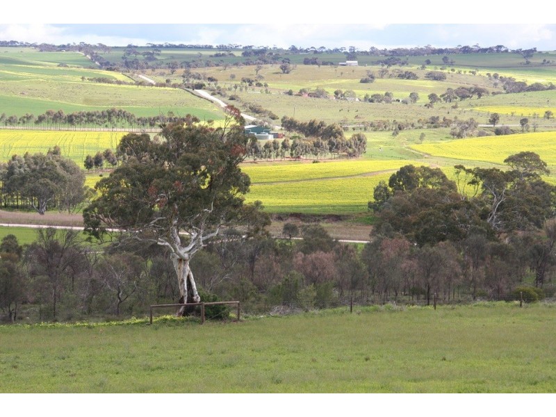 401 North Bremer Road, Hartley SA 5255