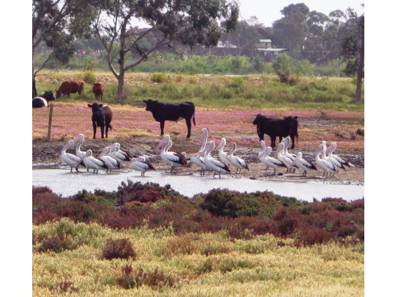 Lot 102 Alison Court, Wellington East SA 5259