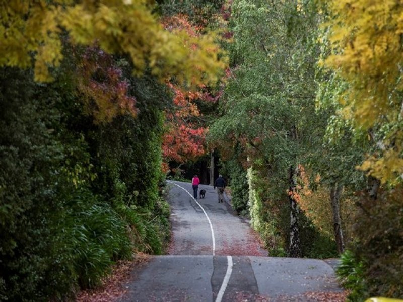 17 Bracken Road, Stirling SA 5152