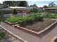 19 Jervois Street, Nairne SA 5252