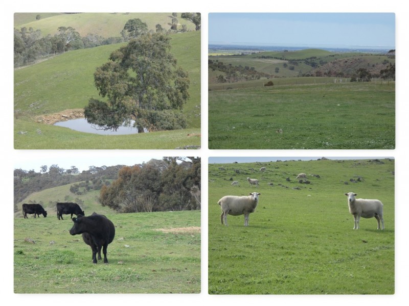 82F Treutler Road, Wistow SA 5251