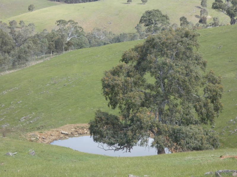 82F Treutler Road, Wistow SA 5251