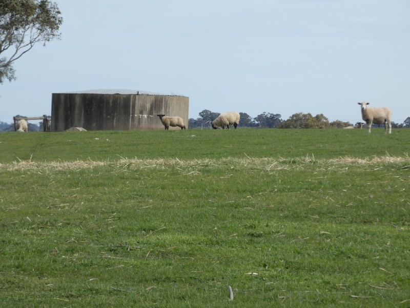 82F Treutler Road, Wistow SA 5251