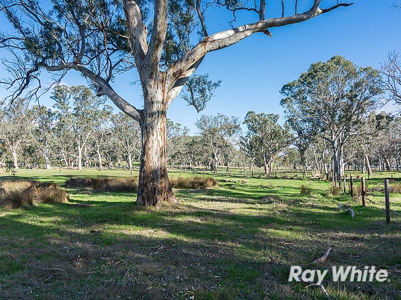 16 Munro Road, Birdwood SA 5234