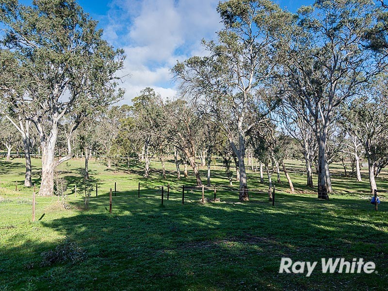 16 Munro Road, Birdwood SA 5234