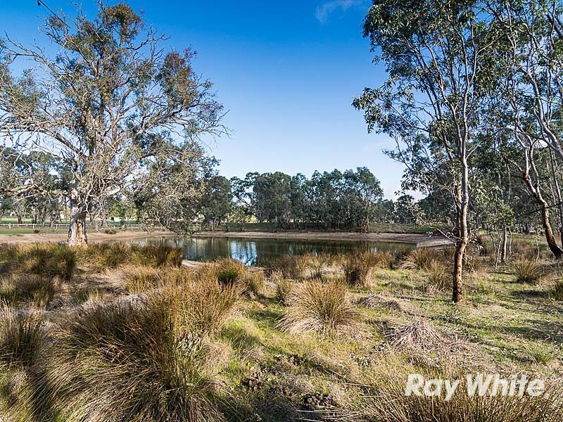 16 Munro Road, Birdwood SA 5234