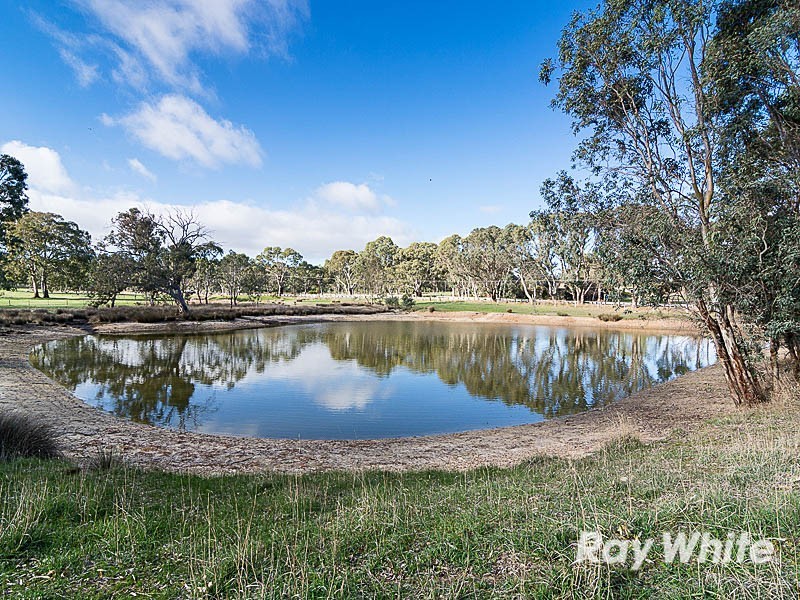 16 Munro Road, Birdwood SA 5234