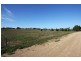 Lot 841 Riley Road, Wellington East SA 5259