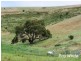 659 Bull Creek Road, Bull Creek SA 5157
