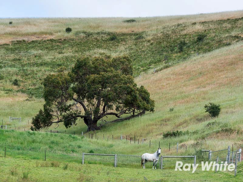 659 Bull Creek Road, Bull Creek SA 5157