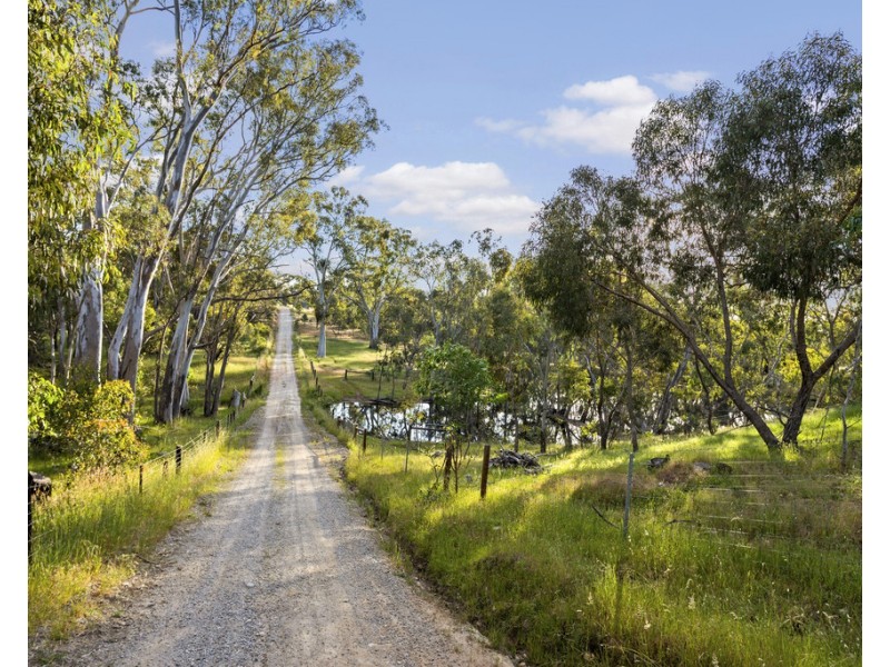 96 Burns Road, Inglewood SA 5133