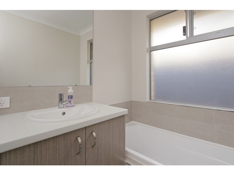 4 Scoparia Way, Baldivis WA 6171