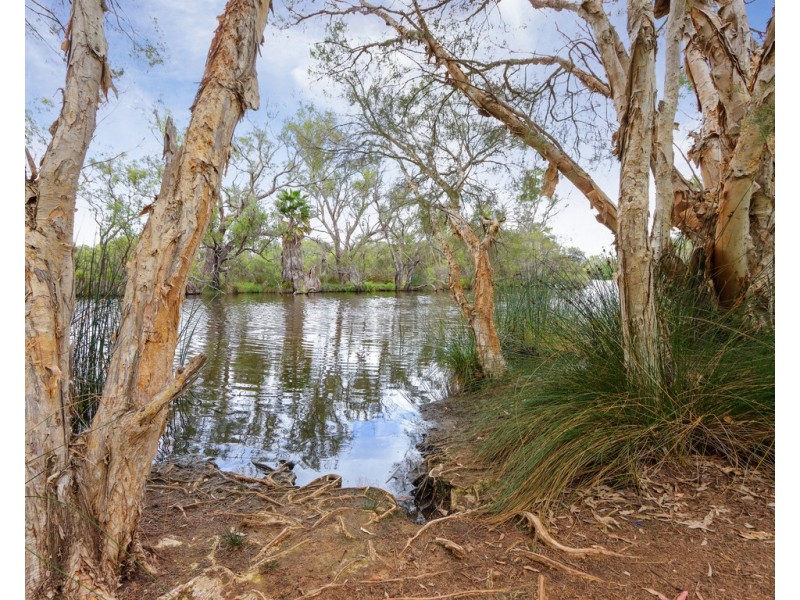 13/53 Woodloes Street, Cannington WA 6107