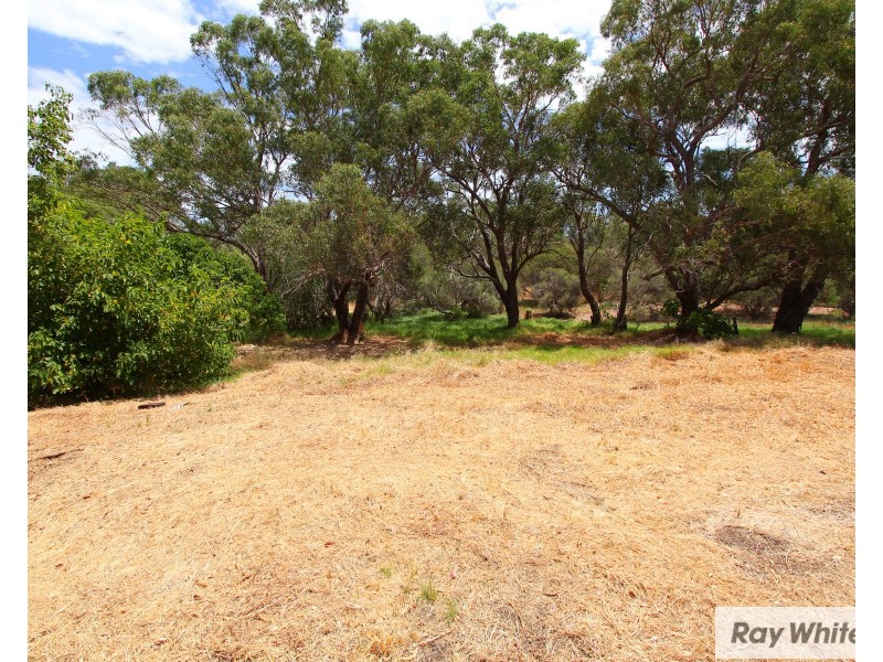 13/53 Woodloes Street, Cannington WA 6107