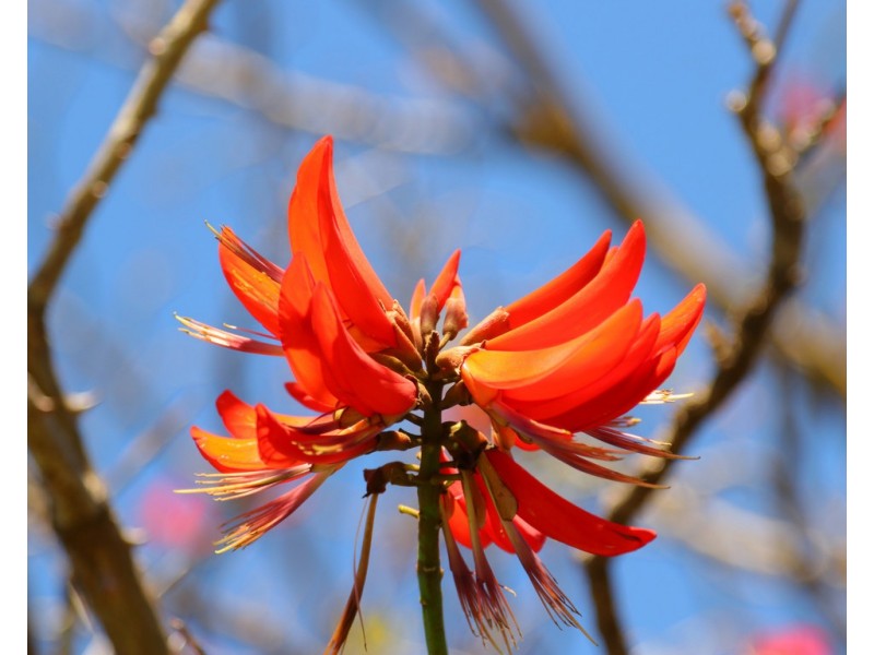 Lot 298/8 Lansdowne Entrance, Canning Vale WA 6155